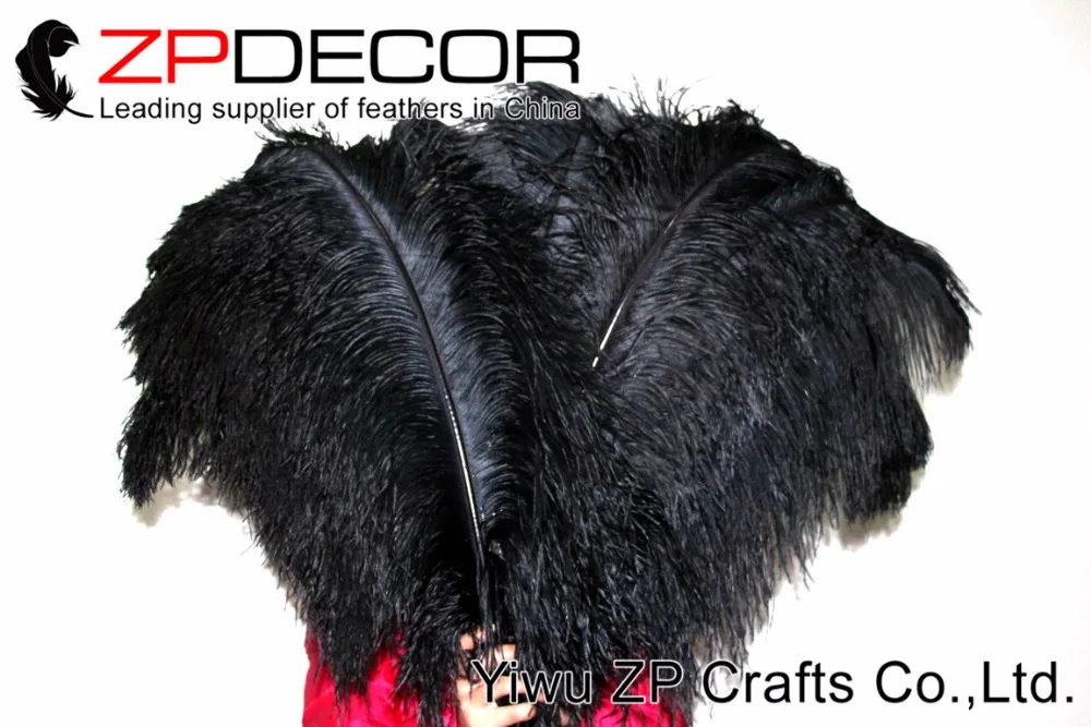 black ostrich feathers (9)
