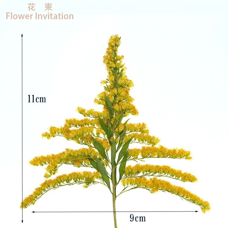 

Flower Invitation Yellow Grass DIY Dried Plant Specimens With Branches Of Natural Herbs Pressed Flower Bouquet