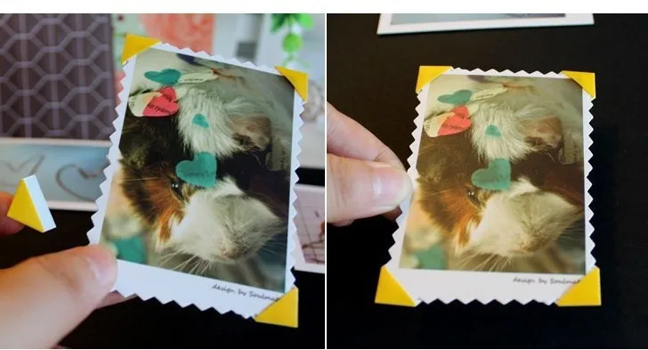 T23jTDXz4XXXXXXXXX_!!466829327