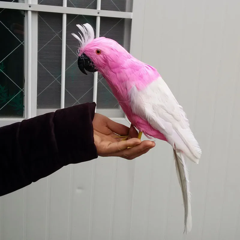 

about 40cm simulation Cockatoo parrot ,plastic foam & feathers parrot model,display prop,home Decoration Christmas gift w5582