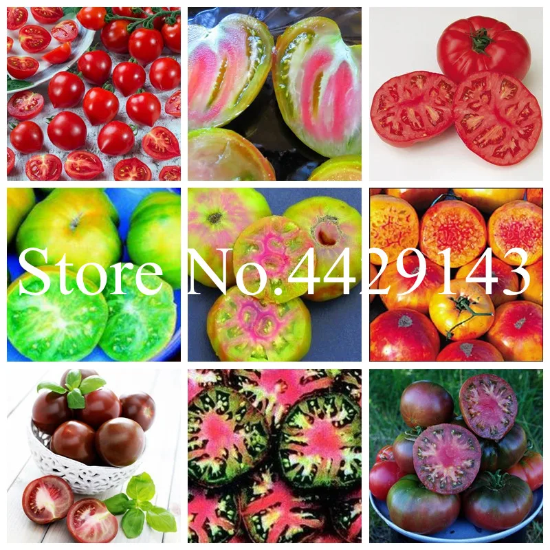 Семена Овощей Без Гмо Купить