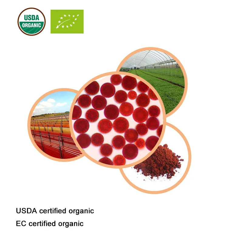 Сертифицированный USDA и EC органический астаксантин 5% органический экстракт гематококка астаксантин