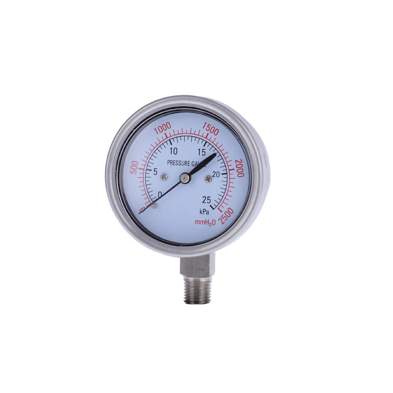 Stainless Steel Capsule Pressure Gauge YE60B Pressure Meter Natural Gas