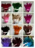Plumes de coq colorées naturelles, 50 pièces, plumes volantes, en vrac, décorations de noël pour maison, mariage, nouvel an, vente de Cosplay ► Photo 1/6