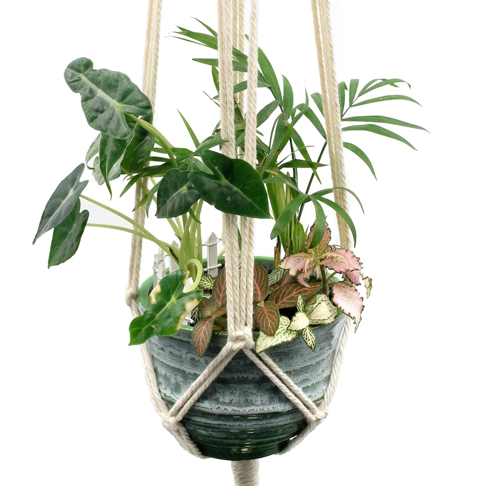 Wall Hanging Planters Shop For Hanging Wall Planters Indoor