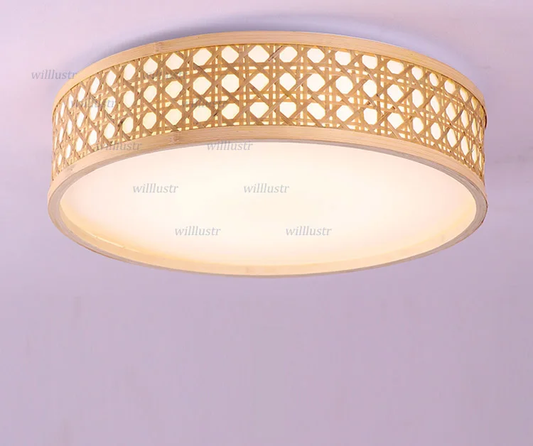 ceiling light (3)