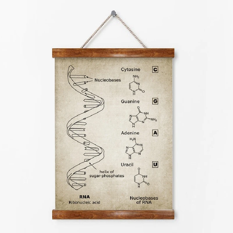 Картина на холсте с генным кодом на холсте, с принтами на холсте, биохимия, биохимия, подарок студенту, винтажные плакаты, Настенный декор