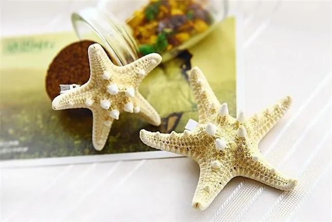 Starfish13
