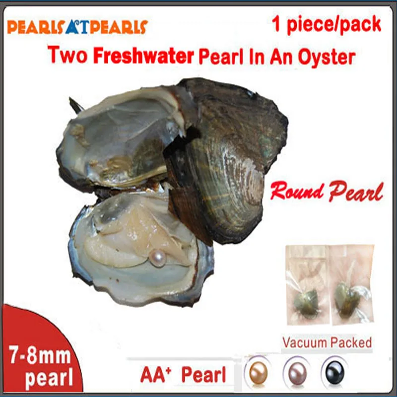 50pcs Individually Vaccum Packed Wish Pearl in Oyster TWIN AA+ 7-8mm Round Pearl Oyster with Pearls