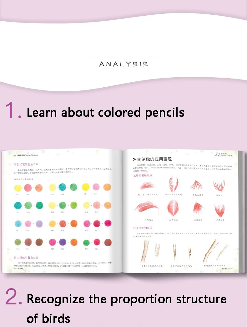 Álbum de Zero Base da Flor do Pássaro Cor da Flor e do Pássaro Clássico Chumbo Tutorial Livro Mão-pintado Crianças Adulto Coloração 2019 4 Base Da Flor Do Pássaro Mão-pintado Crianças Adulto Coloração livro