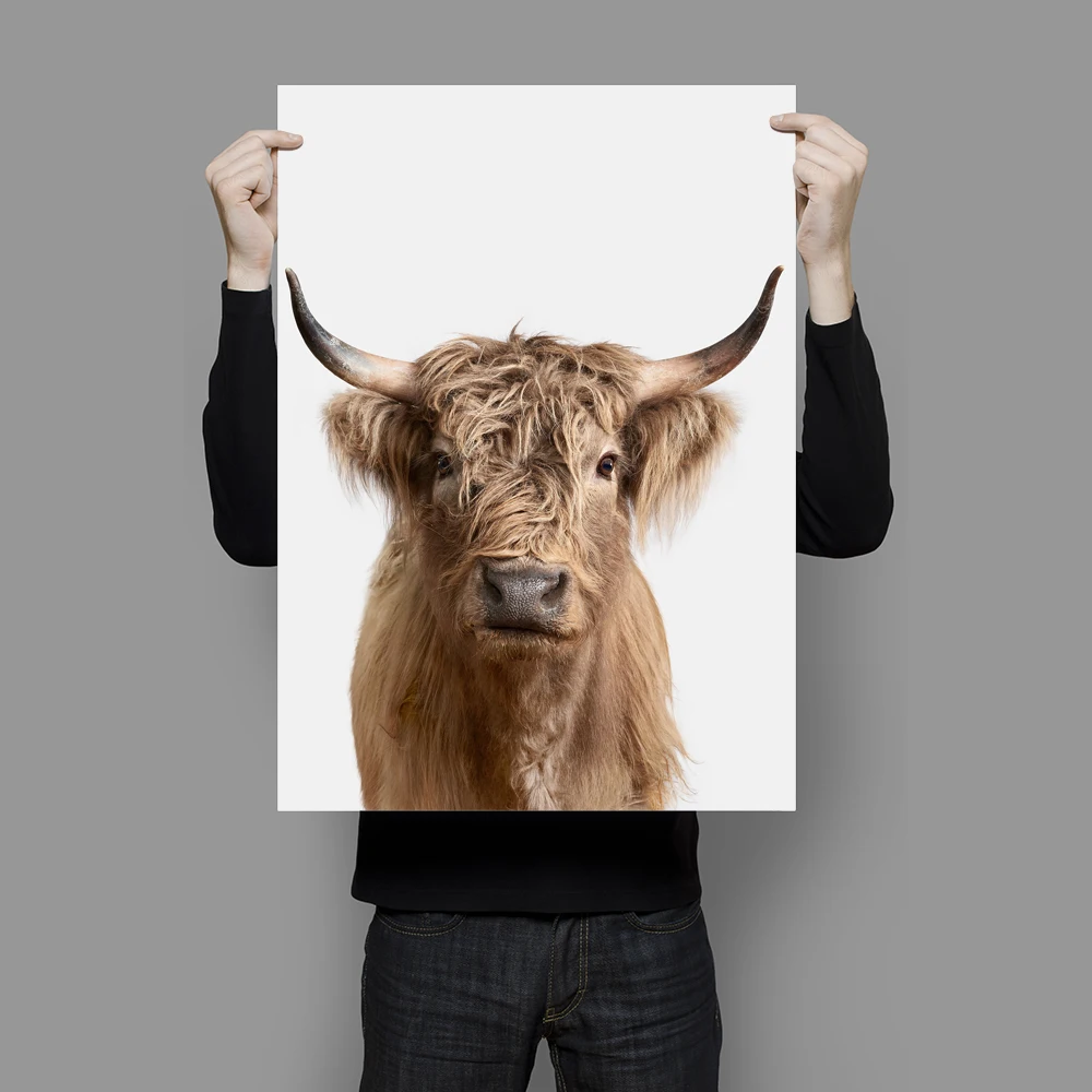 

Modern Canvas Painting Yellow Highland Cattle Cow Posters Prints Nordic Wall Art Cow Pictures for Living Room Home Decor