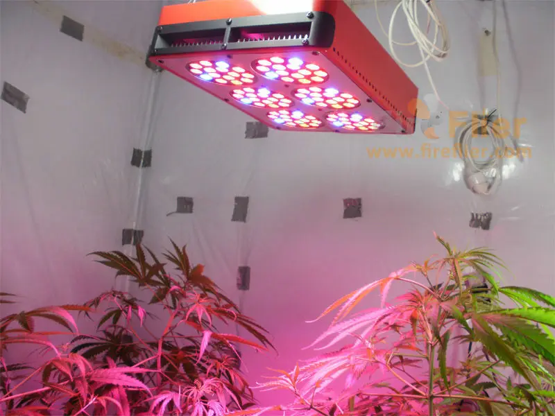 Buy led grow lights 200 watt artificial sunlight Replace