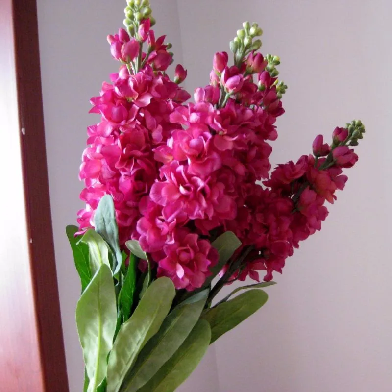 IMG_0962_conew1