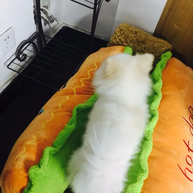 Hot Dog Soft Fiber Bed 5