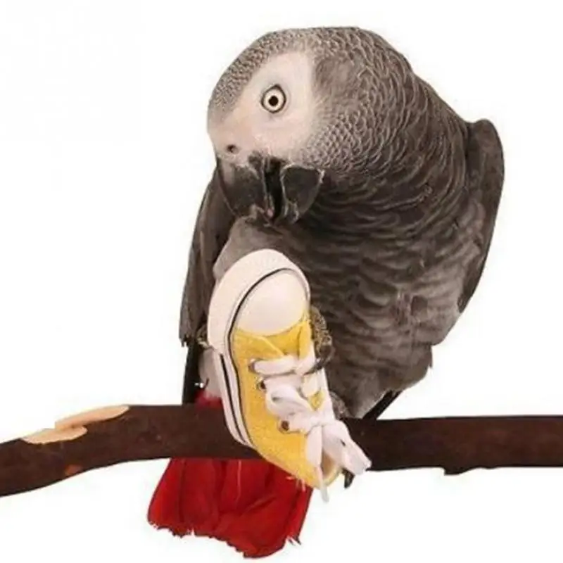 

Mini Canvas Shoes Bird Toy Parrot Cage Hanging Craft Toys Cockatiel Foot Toys