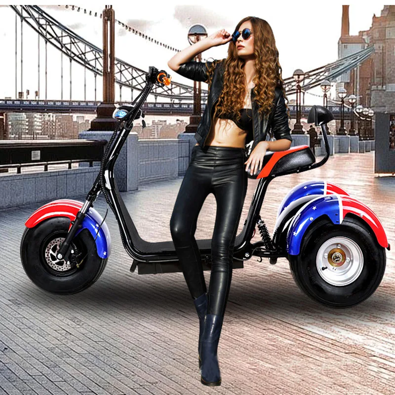 

Electric Motorcycle 9.5 Inch Widened Straight Tire 60V12A Double Shock Absorption Safe and Comfortable Three Wheeled Motorcycle