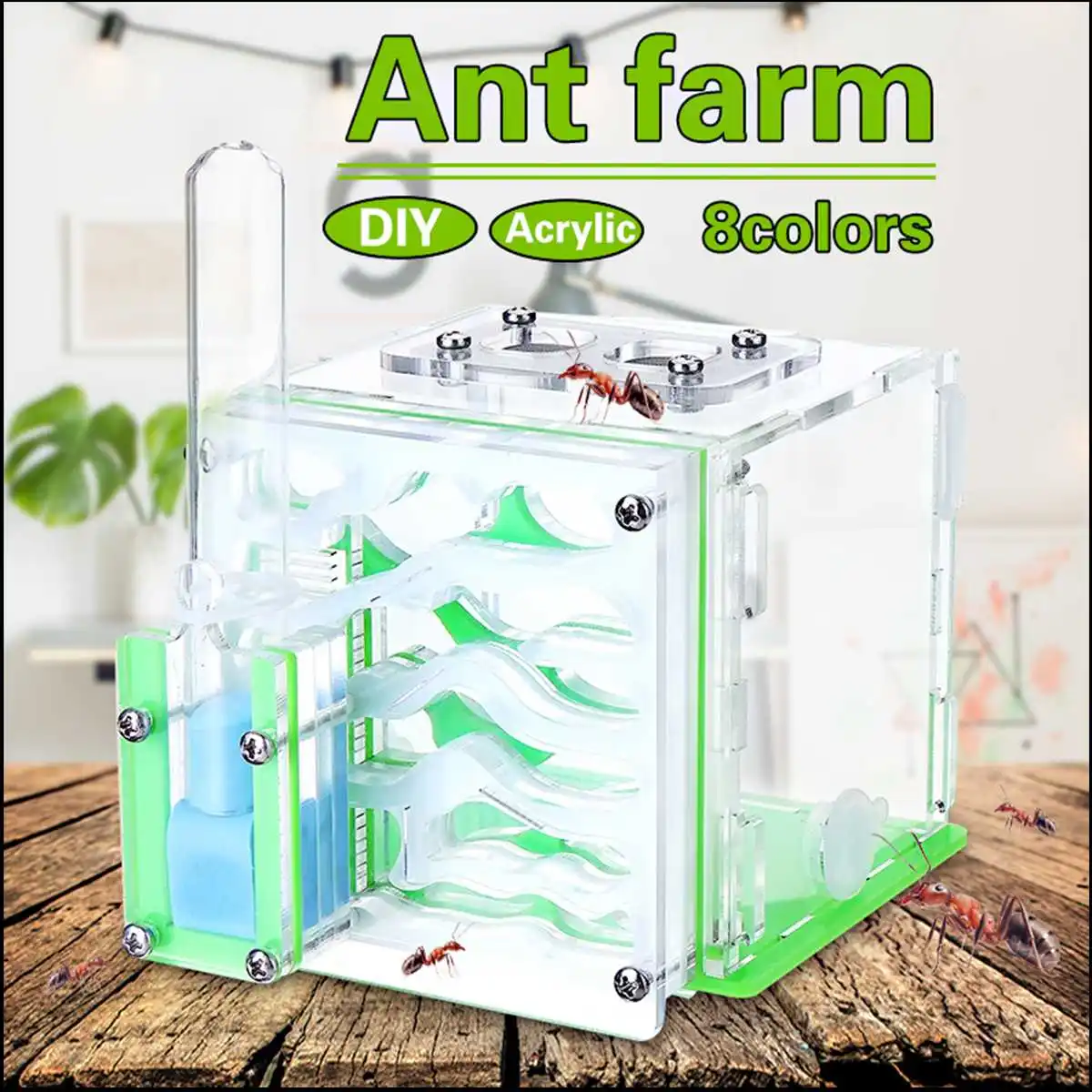 

DIY Moisture With Feeding Area Ant Nest ,Ant Farm Acrylic, Insect Ant Nests Villa Pet Advanced Mania For House Ants