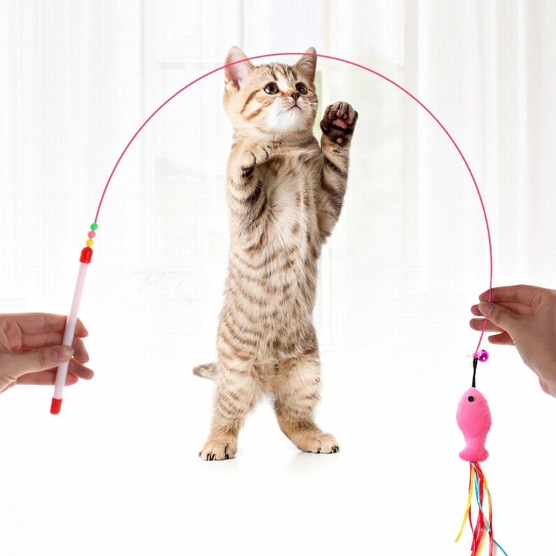 cat toy teaser