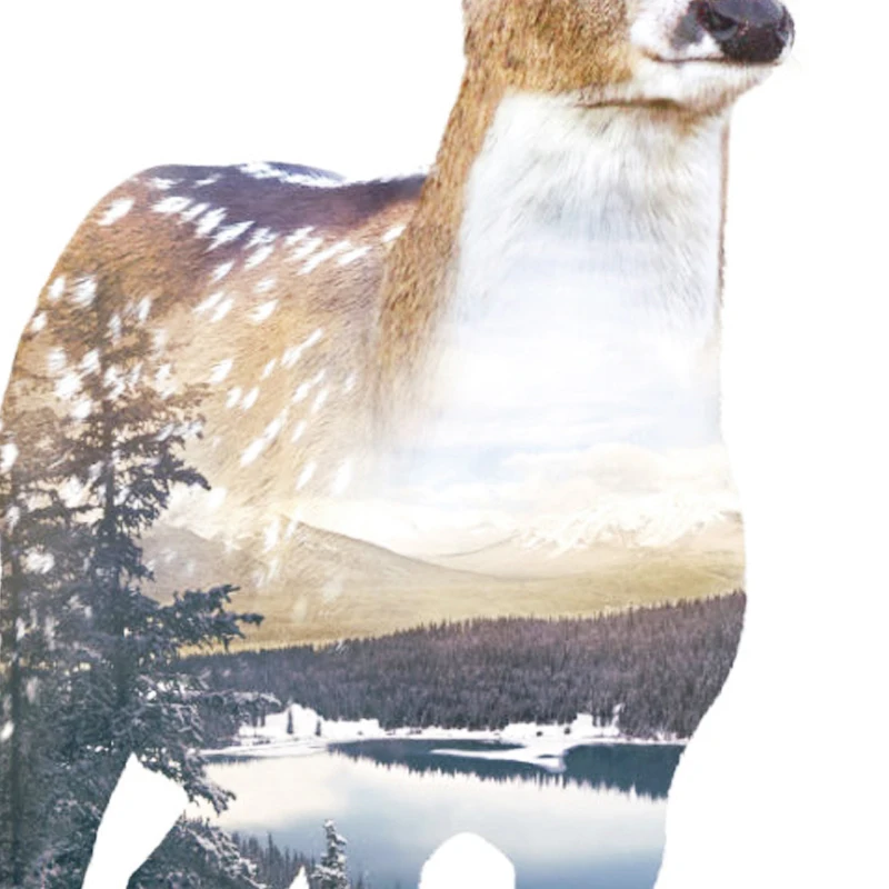 il_fullxfull.690797800_bpwo