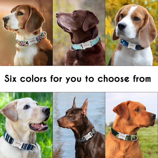 Dog Collar Personalized Nylon 4