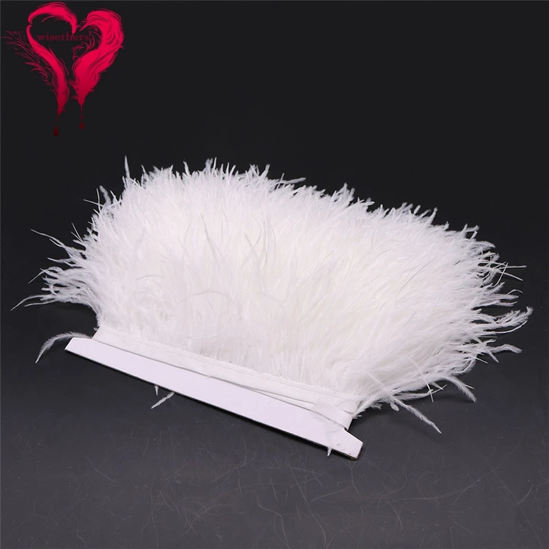 O12 8-10cm ostrich trims 2