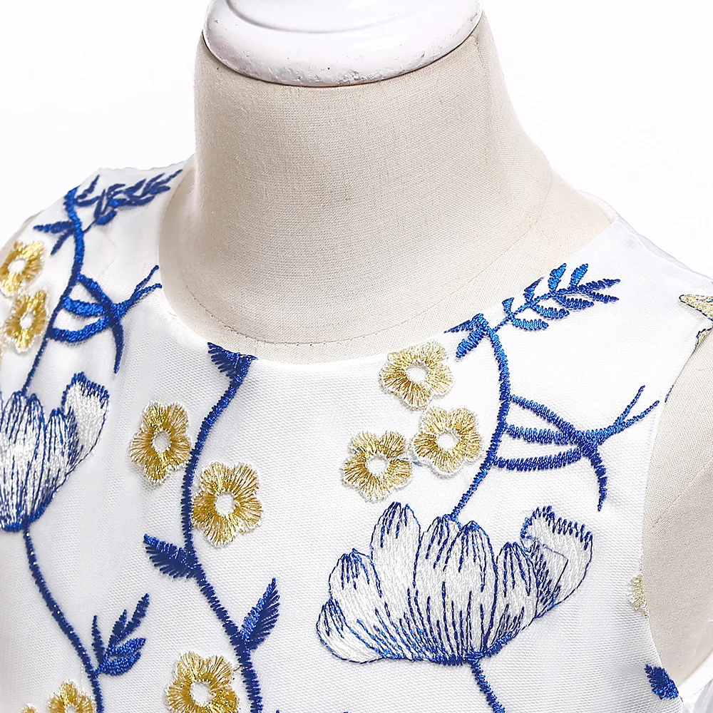 Embroidery Flower Girls Dress 2018 New Tulle Princess Party Wedding Kids Dresses For Girls 14 Year Teenage Children Costume Prom (16)