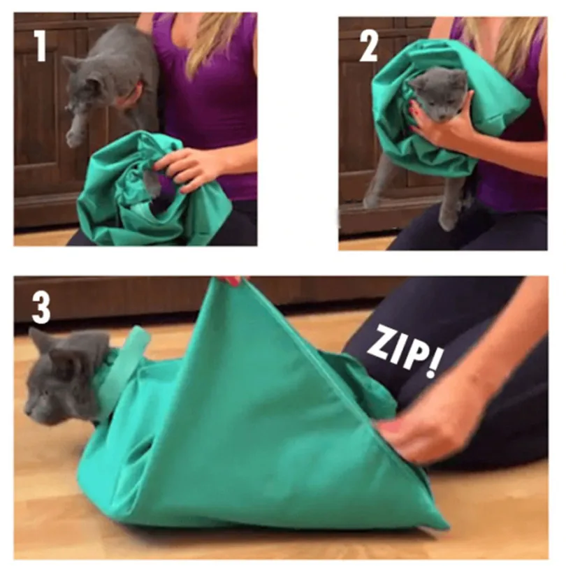 Cat Bags Carriers Portable Outdoor Cat Dog Pet Double Shoulder Mesh Bag Backpack Travel Carrier 2019 NEW #3m21 (4)