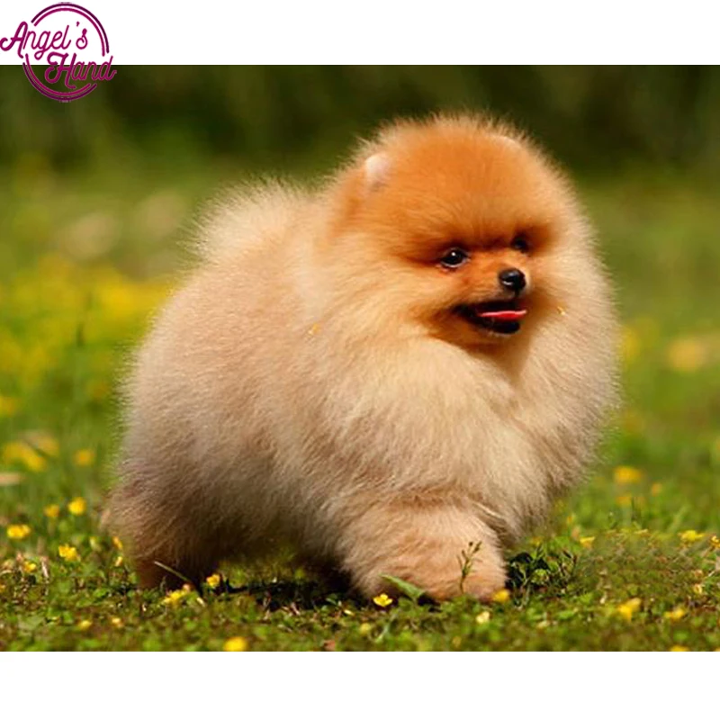 

5D DIY Diamond embroidery Christmas gift,dog,Pomeranian,3d,diamond painting Cross Stitch full drill Rhinestone mosaic wall decor