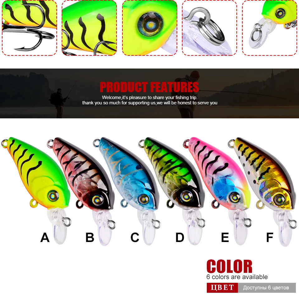CSC001_06