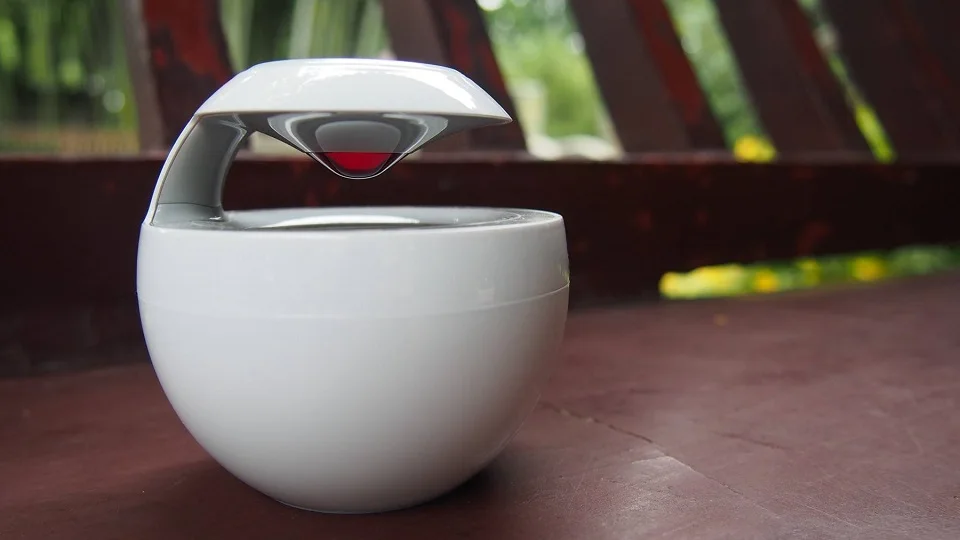 timg4