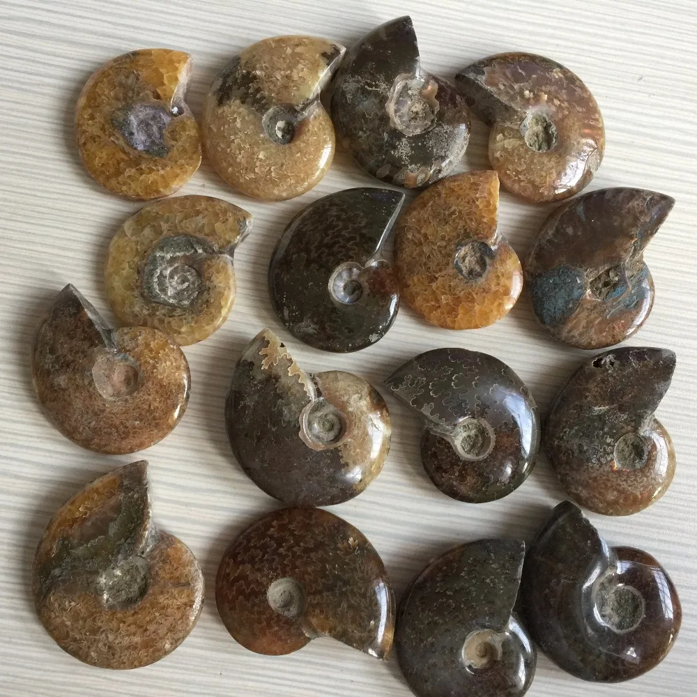IMG_1392