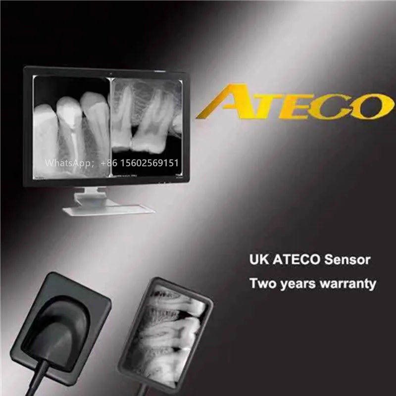 

AT-301 Intra-Oral Dental X-Ray Sensor USB Digital X-Ray Imaging System Dental X-ray