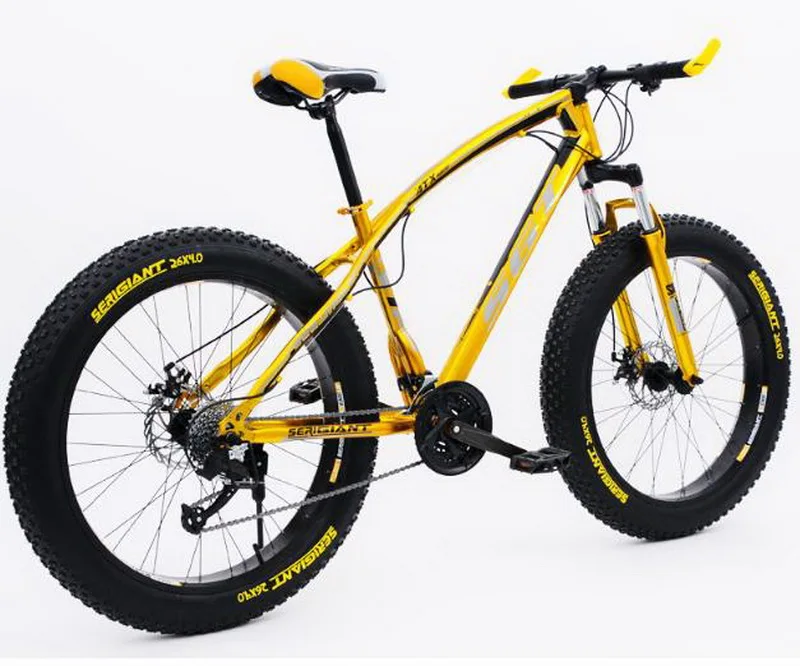 36020170223135444896