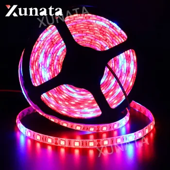 

5m/lot Greenhouse Hydroponic Waterproof DC 12V 5050 Plant Growth LED Light Strip Flower Plant Phyto Growth lamps