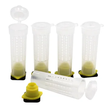 

50 Sets Bee Equipment Queen Been Cage Cell Cups Beekeeping Equipment Insects Tools Wholesale Bee Feeder