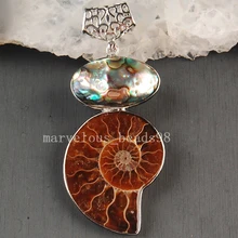 Красивые украшения 30x70 мм природный Аммонит Новой Зеландии, раковина абалона, художественный кулон из бисера MC3632