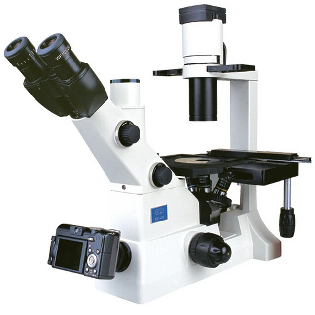 biological microscope XD-202 binocular biology FREE SHIPPING | Инструменты