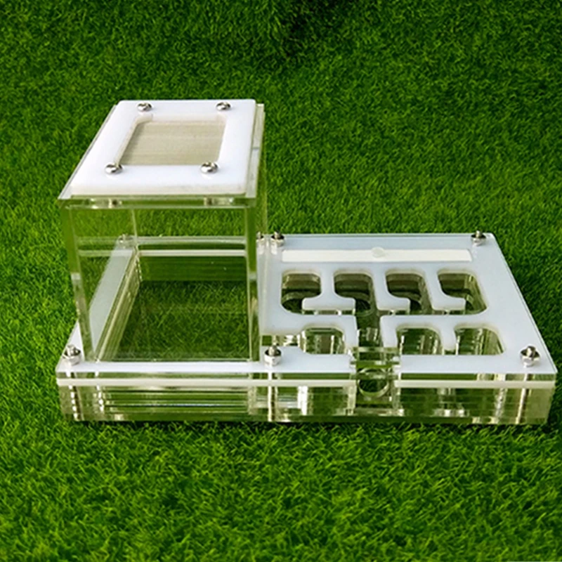 Pet Ant Villa Workshop Ant Nest Acrylic Transparent Ant Nest (4)