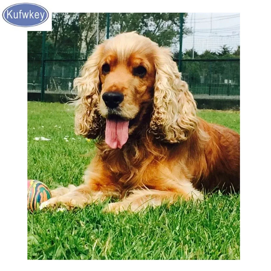 Kit Irish Setter Dog Cross Stitch Chart