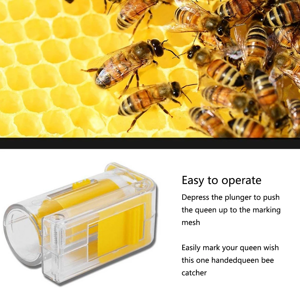 Пчеловодство оборудование, инструмент Bee King маркер для бутылки стиль маркировки King ловить бутылки queen Catcher Пластик пчелы клетка для пчелиной матки