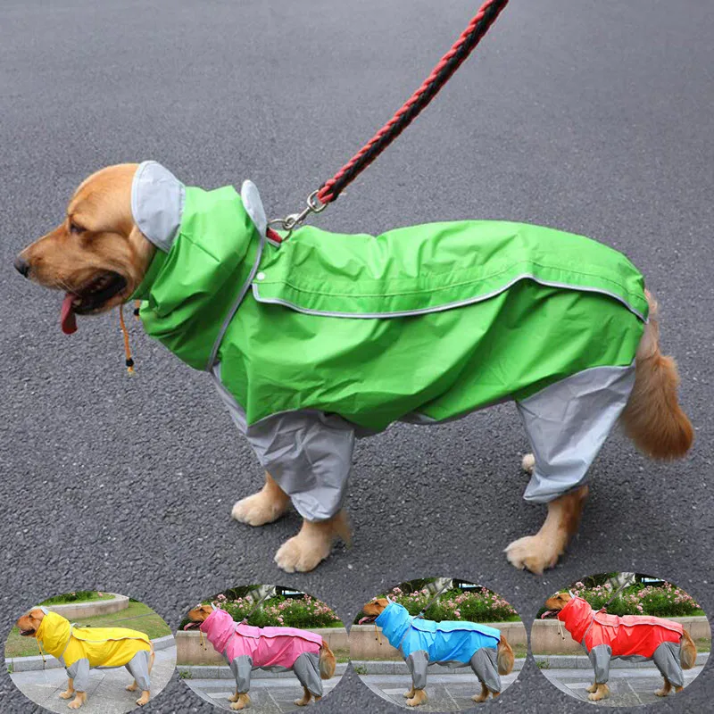dog raincoat