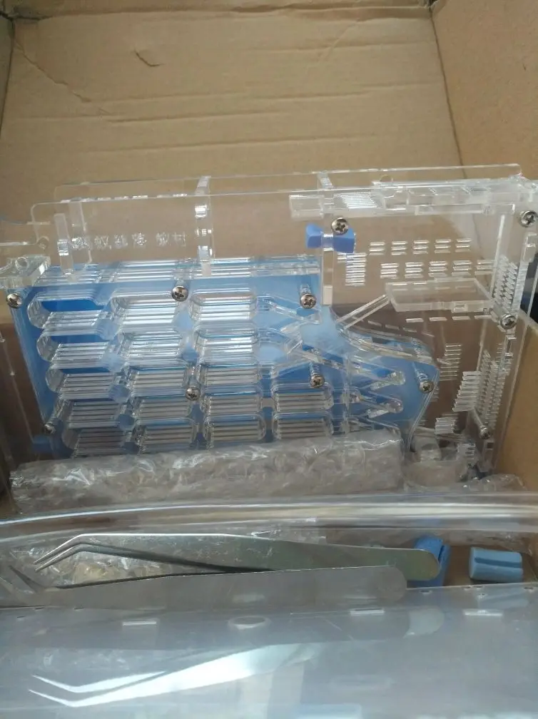 ant-workshop (5)