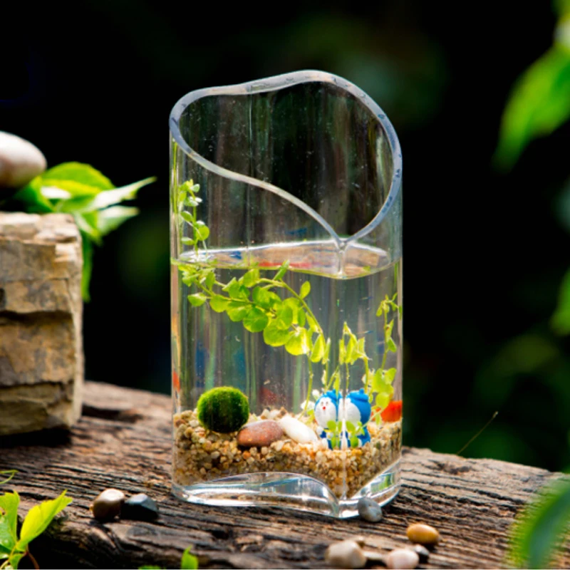 Modern Creative Glass Vase Fish Tank Heart Shaped Hydroponic
