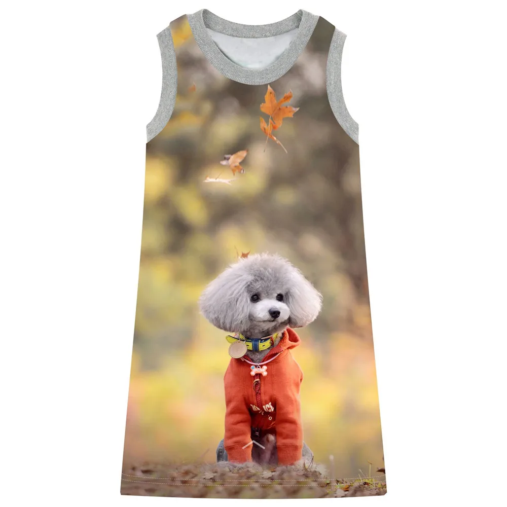 Summer style Girls Dresses Brand Children Dress Princess Costume Lovely ...