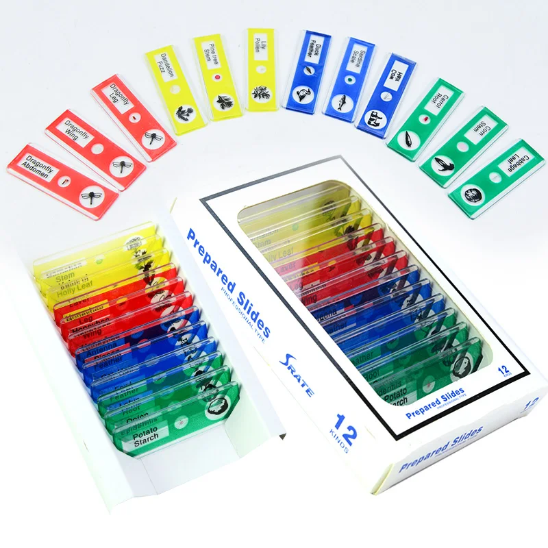 Educational Microscope Pcs Slides Discovery Excellent 5