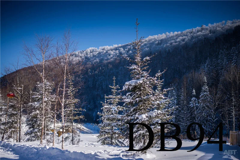 DB94