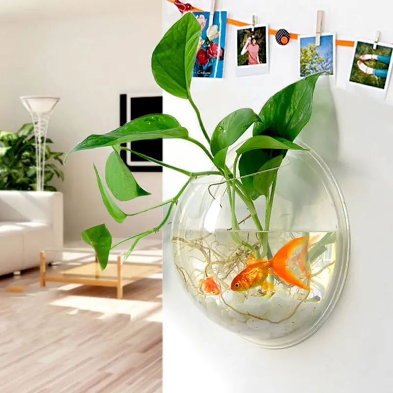 Popular Aquarium Plant PotsBuy Cheap Aquarium Plant Pots lots from