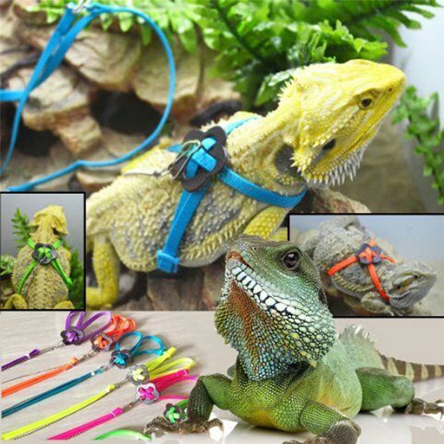 Pet Products Lizard Leash 1pc Reptile Gecko Bearded Dragon Harness And