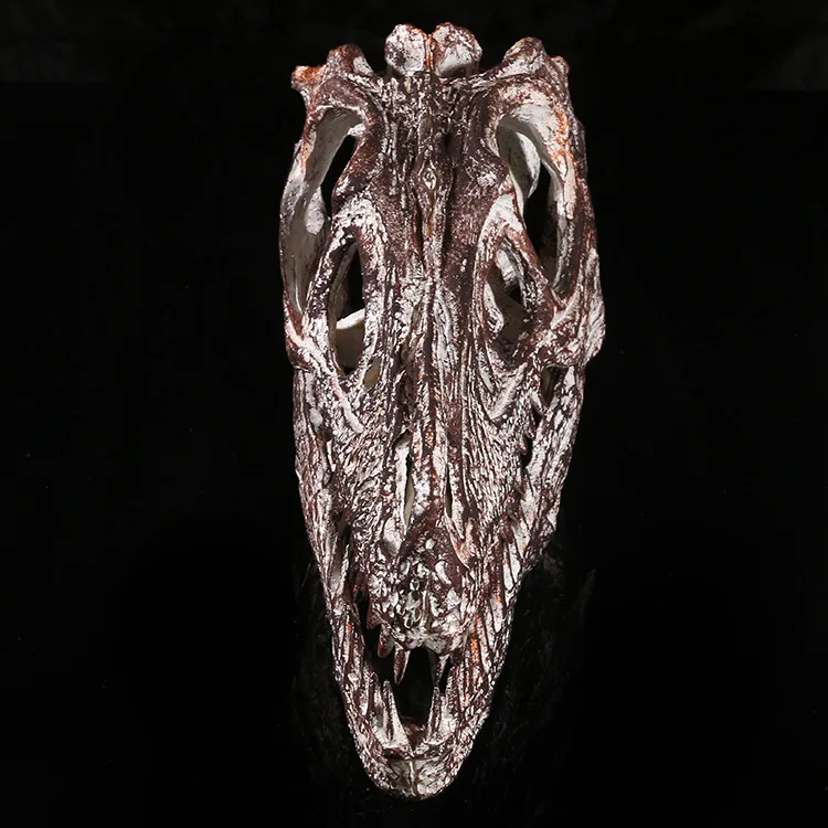 Velociraptor Skull Dinosaur Статуэтка из полистоуна модель 1/1 Fossil Resin череп динозавра|skull