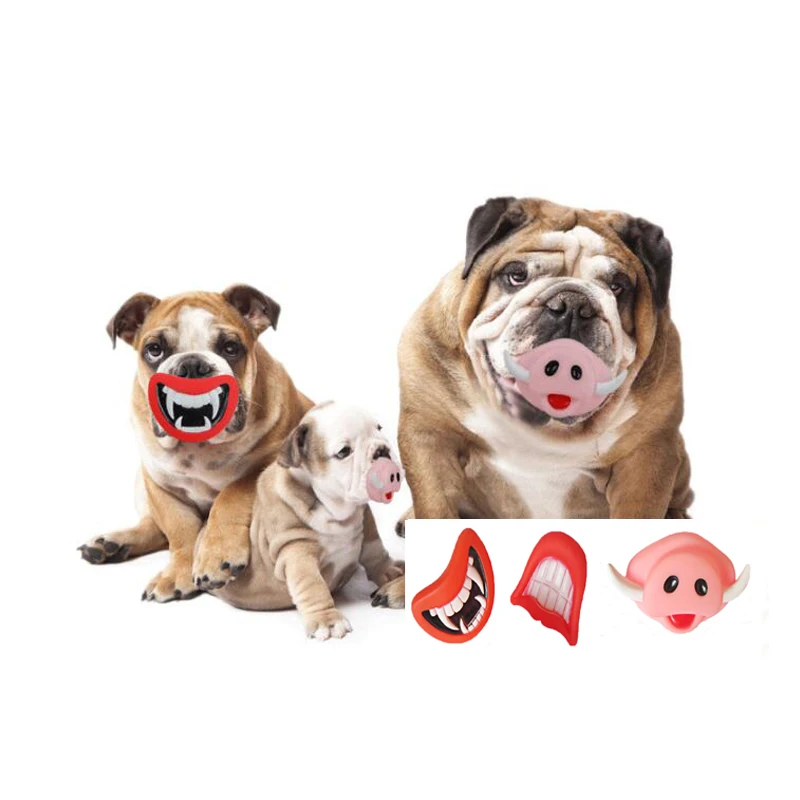 3/PCS/Lot Dog Funny Squeak Toys Pet Chewing Toy New Arrival Dog